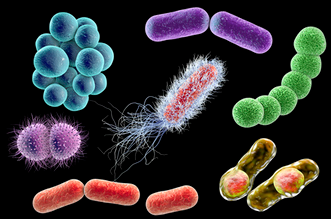 檢測細(xì)菌微生物的儀器都有哪些？